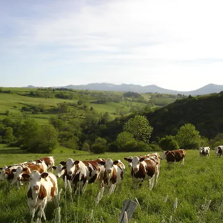 بيت للعطل L Oustalou Maison D Hotes De Charme En Auvergne Piscine Privee Chauffee سانت-نيكتير